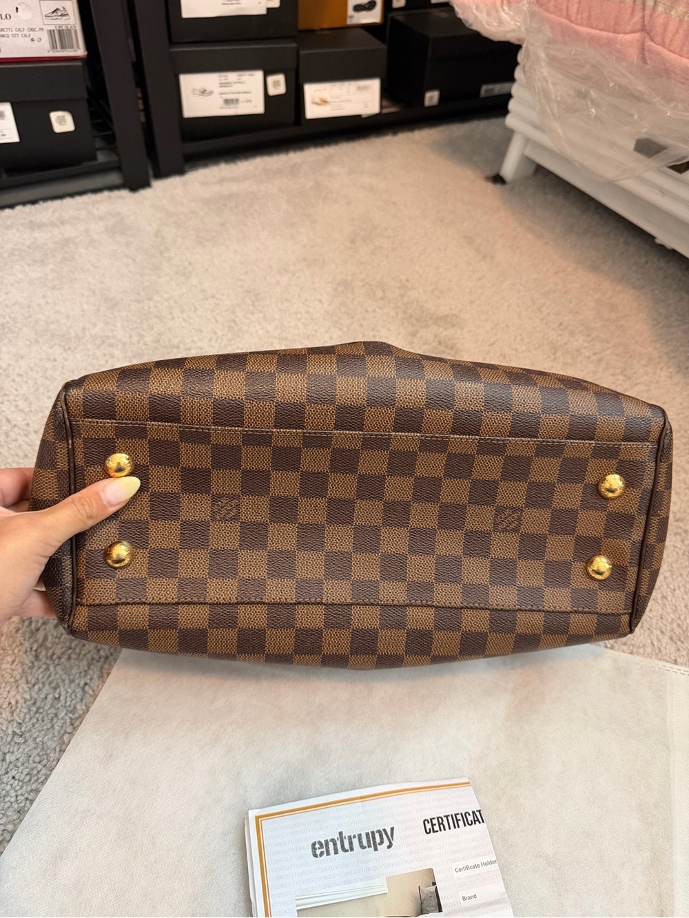 Louis Vuitton Damier Ebene Trevi PM Bag! - Picture 5 of 10